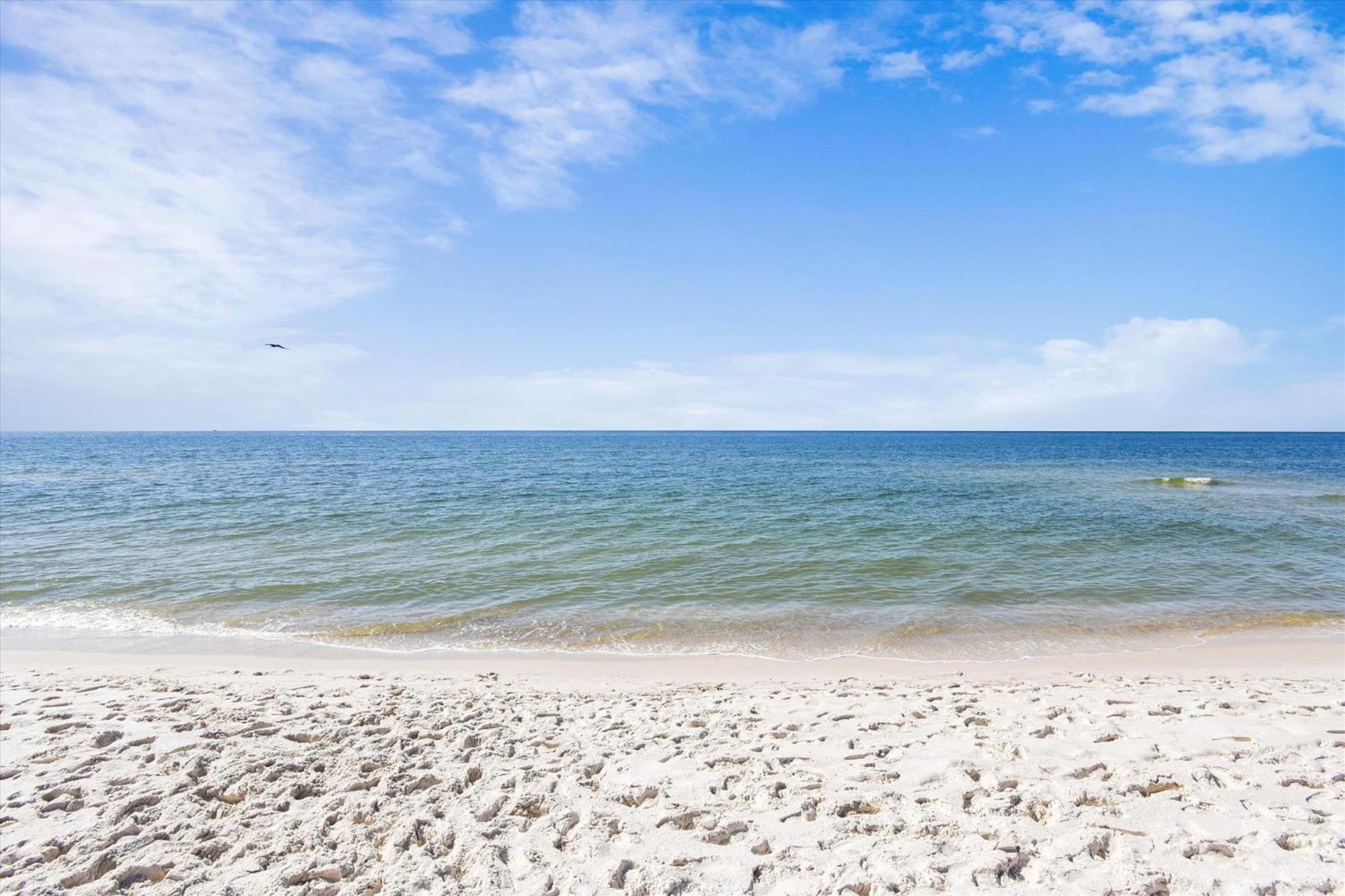Tradewinds Unit 608 Βίλα Orange Beach Εξωτερικό φωτογραφία